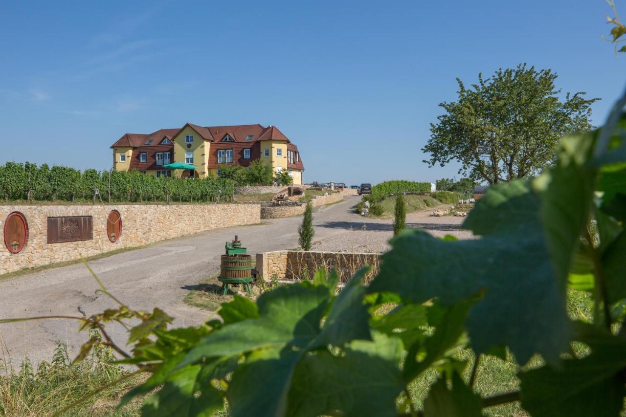 Privat bolig Privatweingut Schmidt *