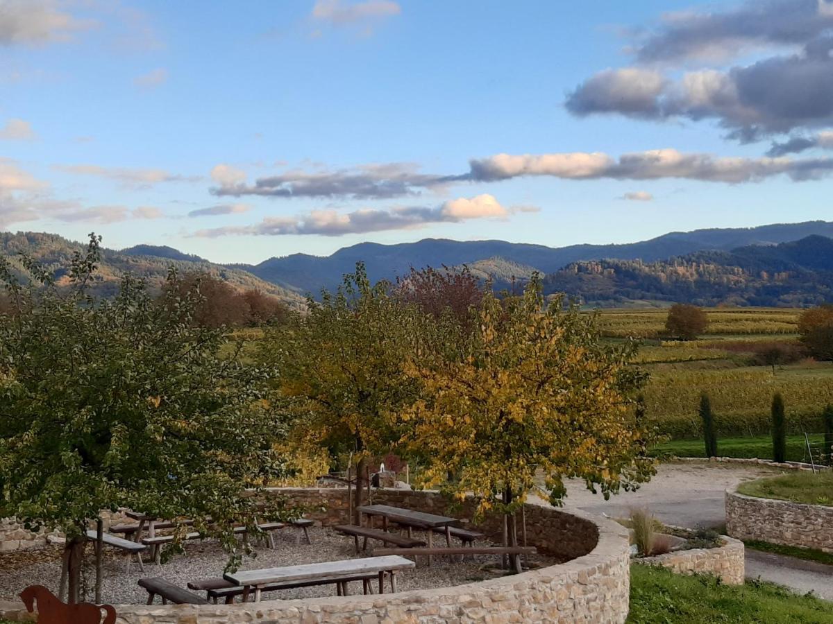 Homestay Privatweingut Schmidt Heitersheim