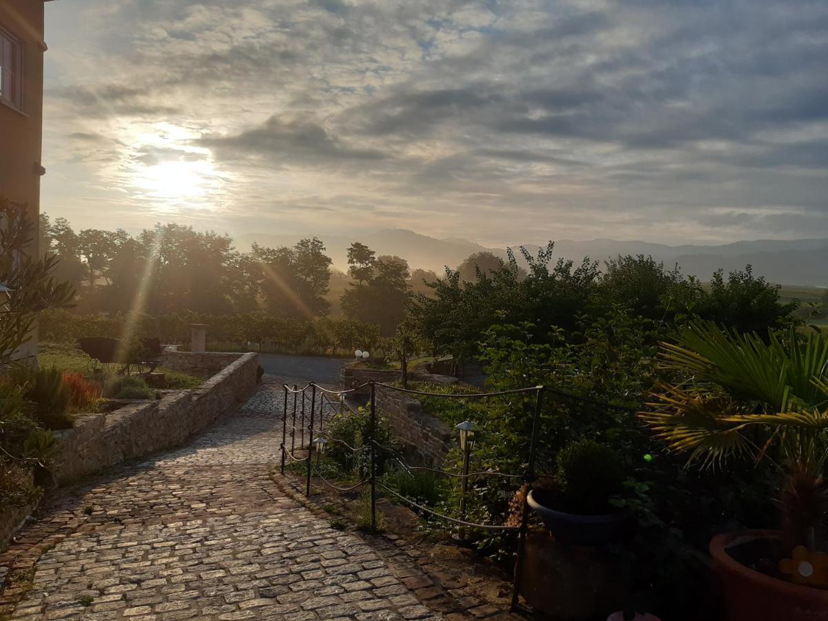 Privatweingut Schmidt Homestay