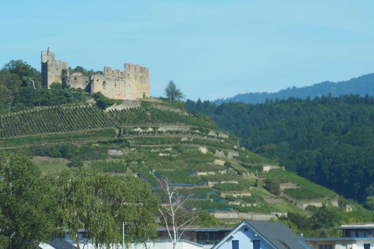 Privatweingut Schmidt Homestay