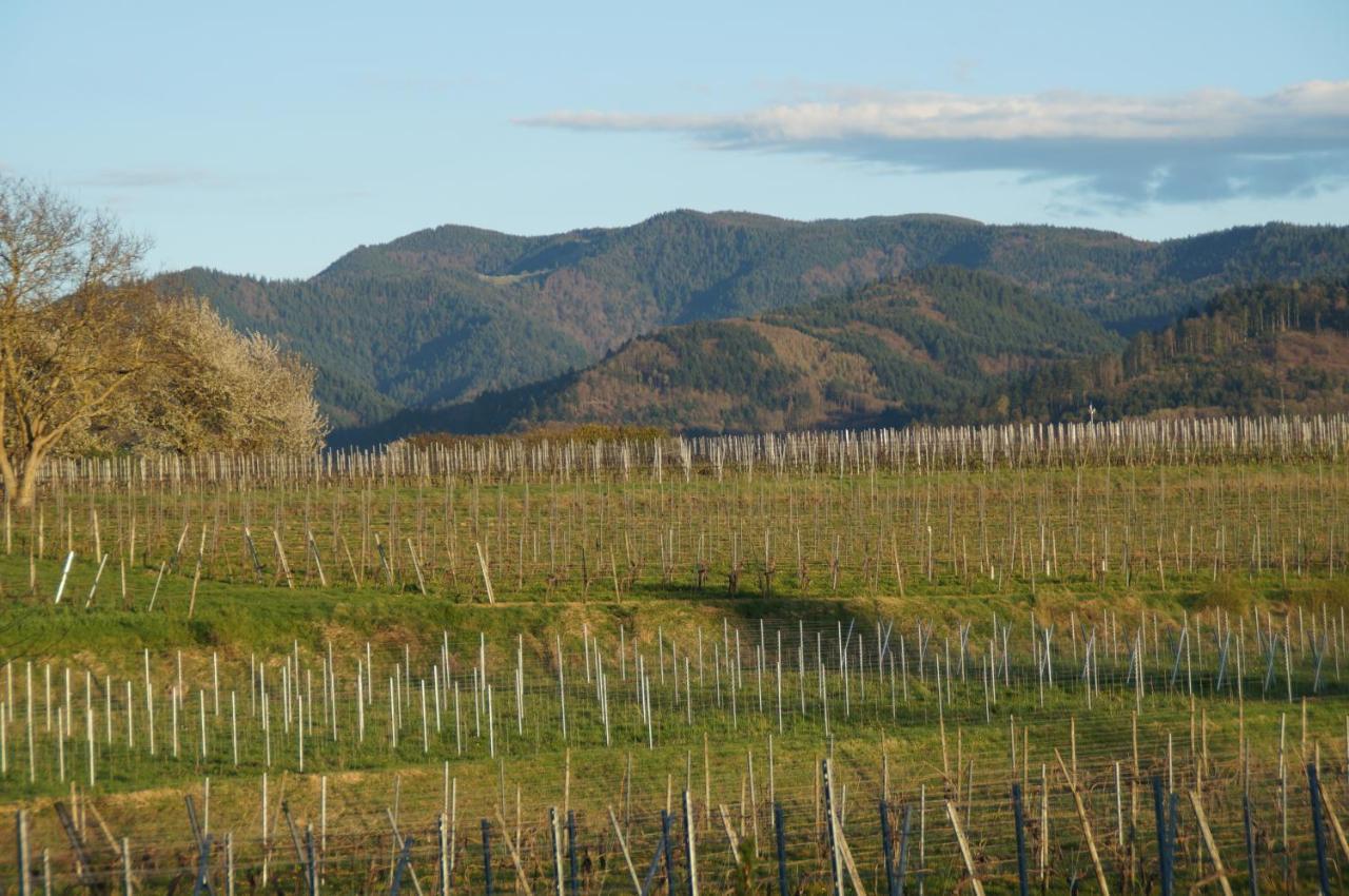 Privatweingut Schmidt * Heitersheim
