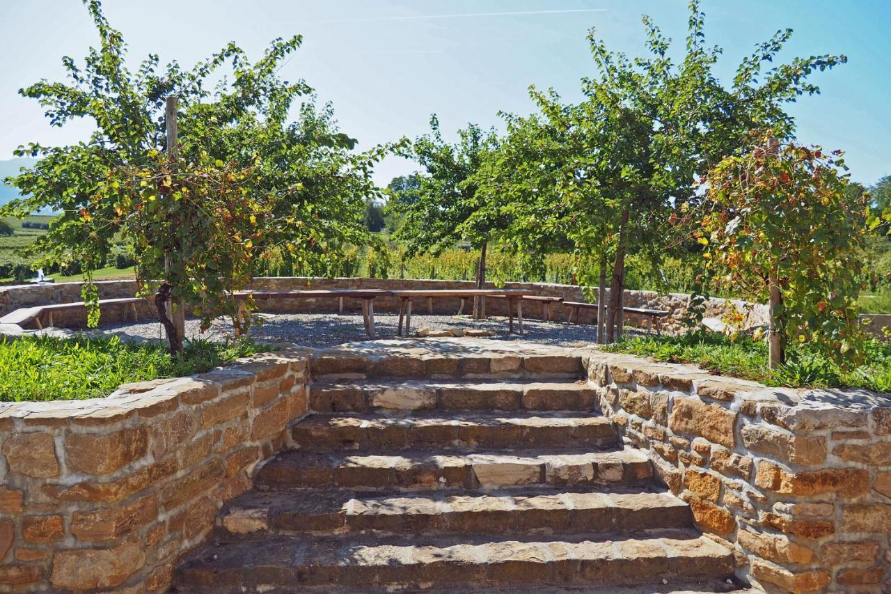Privatweingut Schmidt