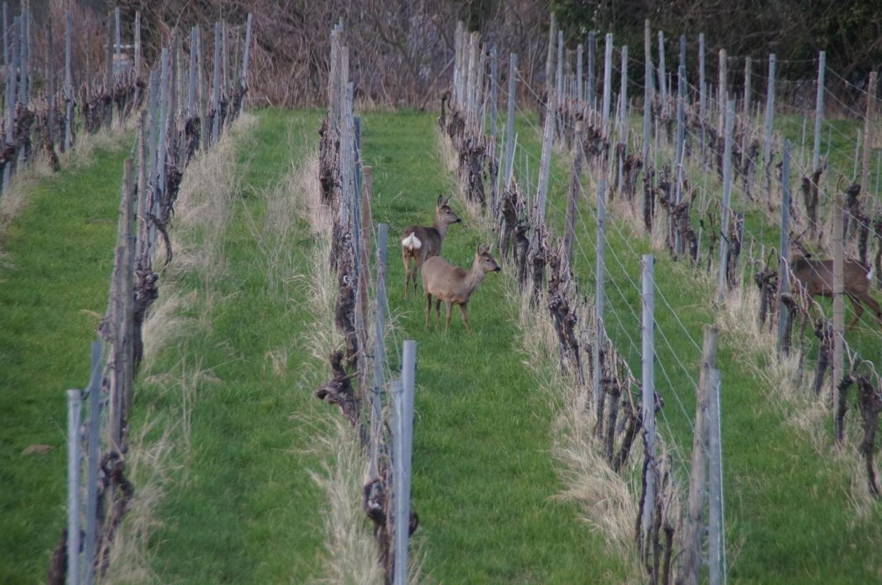 Privatweingut Schmidt