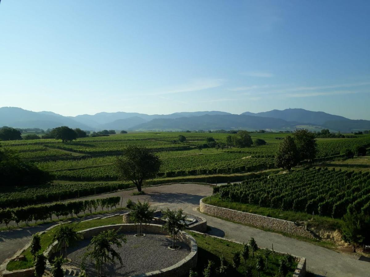 Privatweingut Schmidt Heitersheim