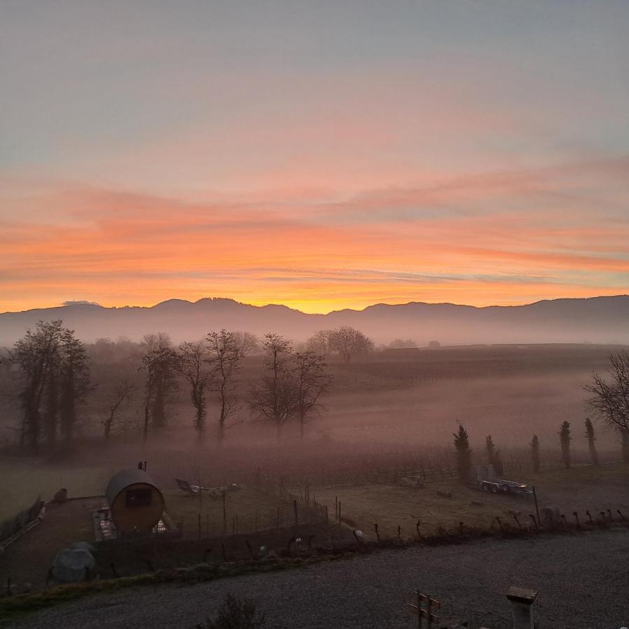 Privat bolig Privatweingut Schmidt *