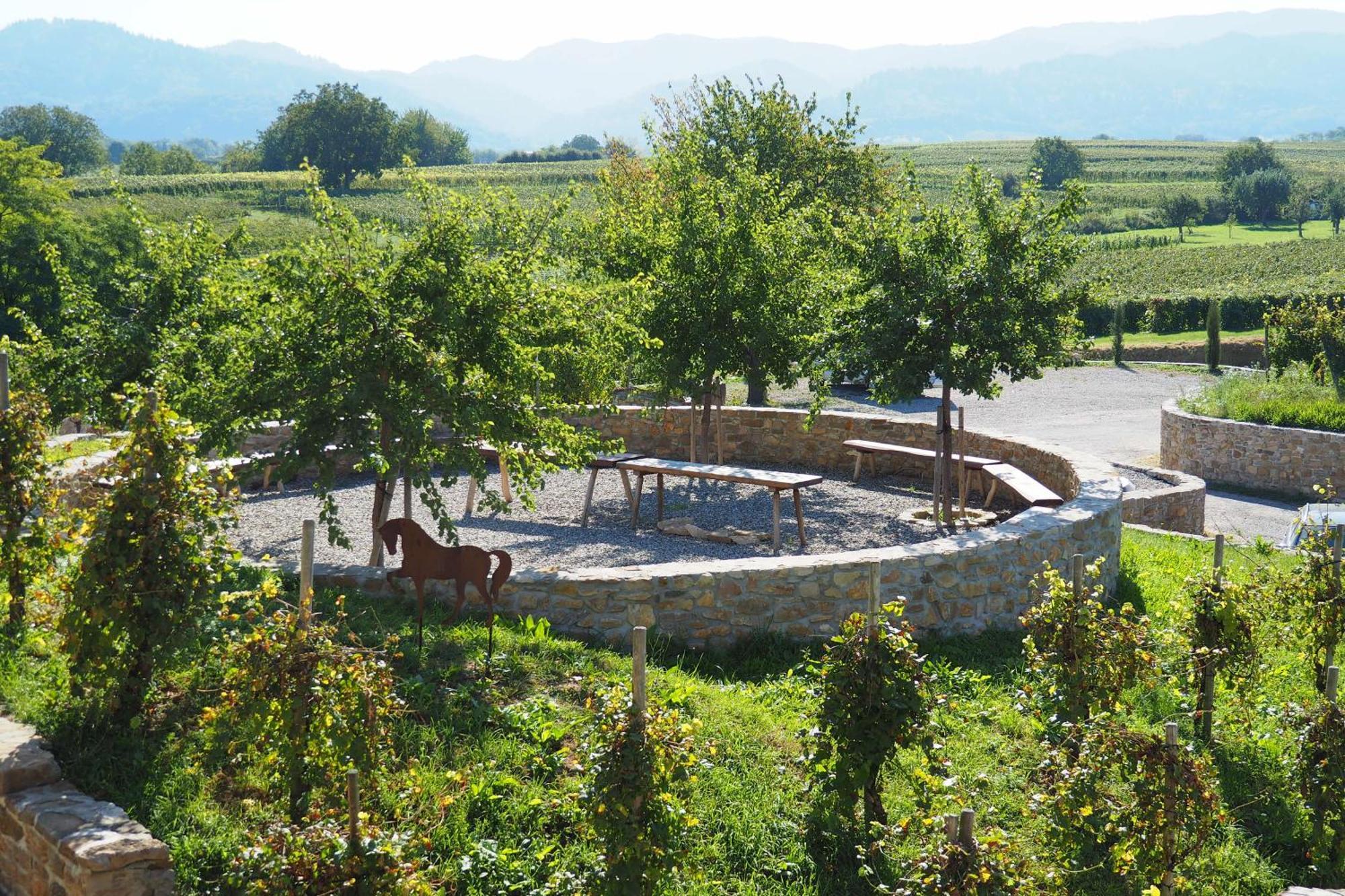 Privatweingut Schmidt *